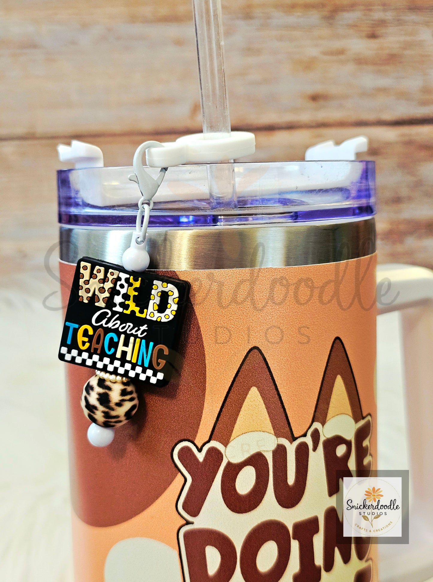 Teacher Straw Charms