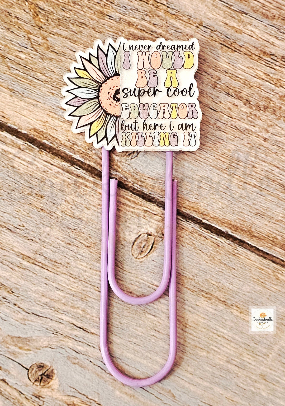 Large Paperclip Bookmarks