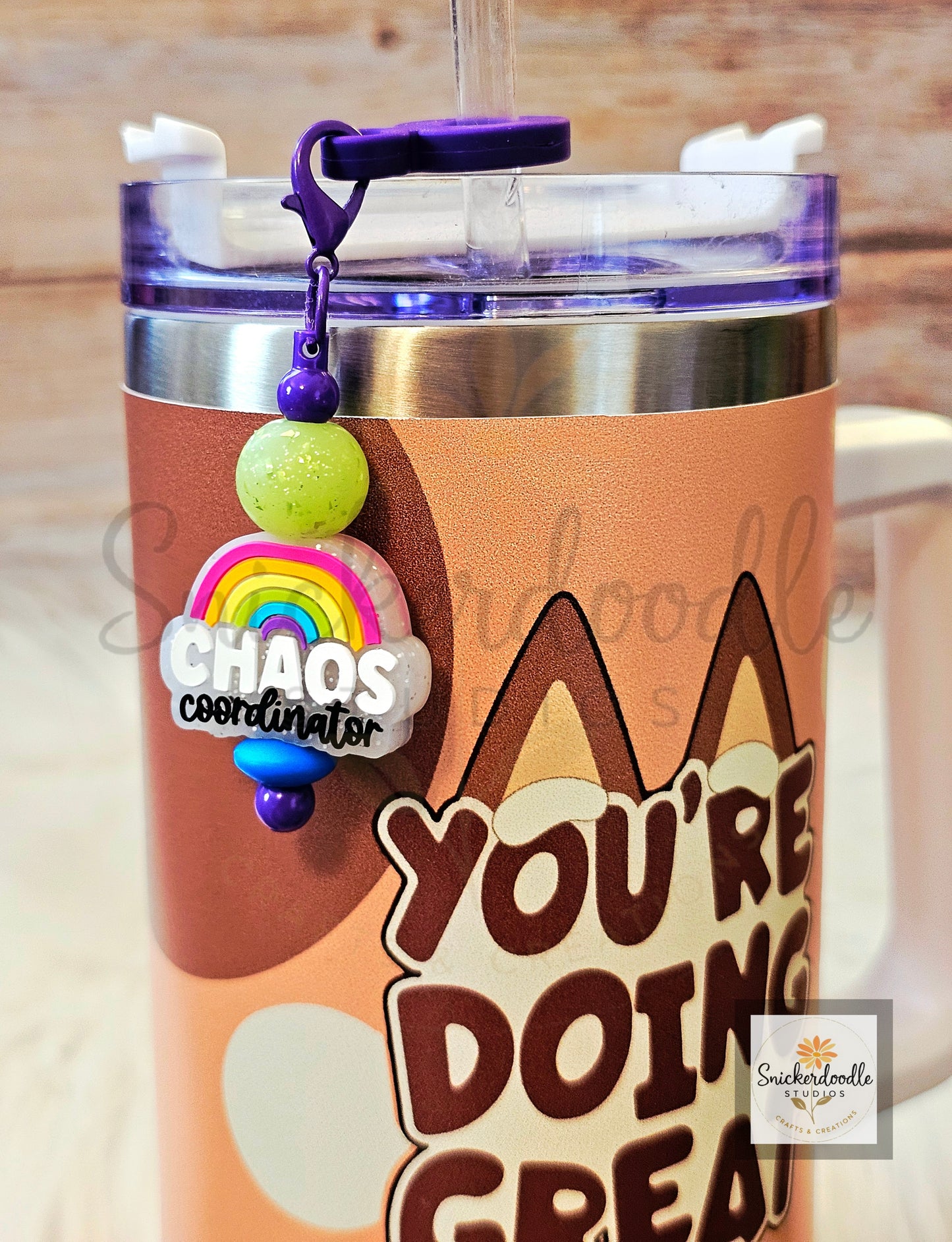 Teacher Straw Charms